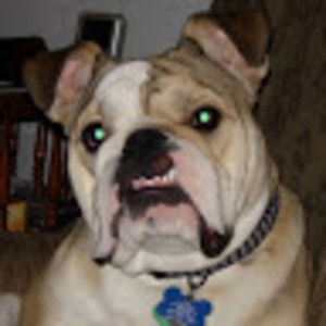 Meet your Posher, Ed